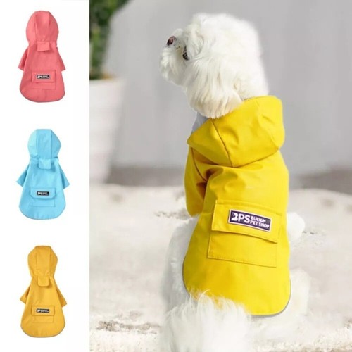 Pet puppy dog - rain, coat
