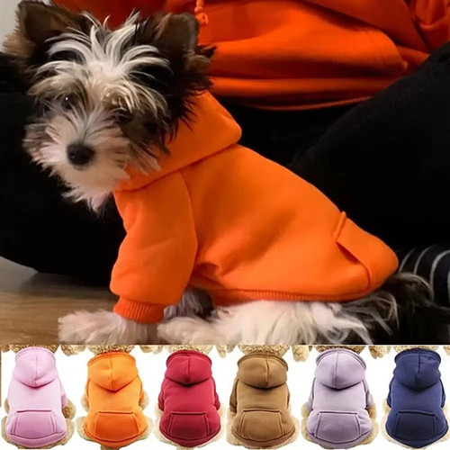 Winter dog hoodie sweatshirt - dog,