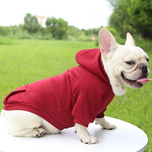 Thick warm dog - dog, hoodie