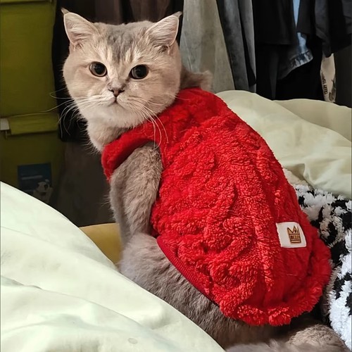 Pet dog cat fleece sweater - fleece,