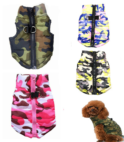 Winter dog cat - dog, coats