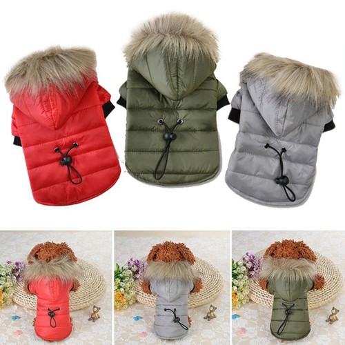 Warm padded dog coat - coat, jacket