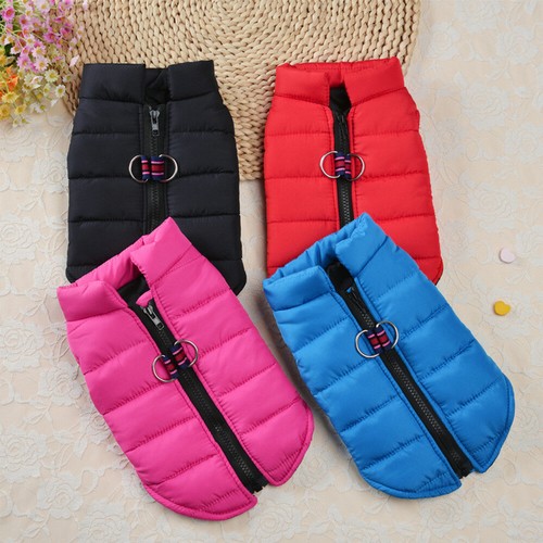 Winter small dog vest - winter,