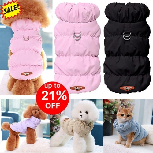 Waterproof dog cat - cat, winter