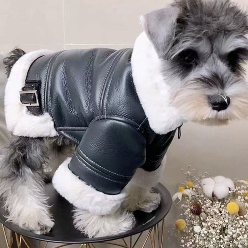 Soft puppy cool - soft, leather