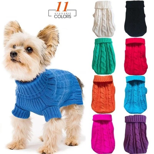 Puppy dog pet - dog, jumper