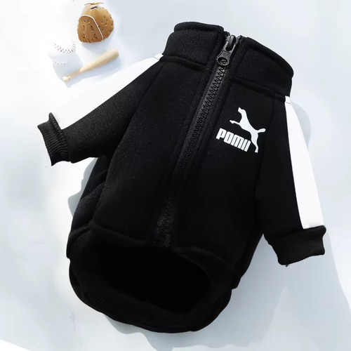 Winter dog jacket baseball - winter,