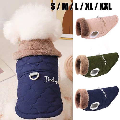 Warm pet dog - dog, jacket