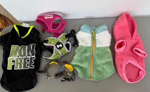 Very small chihuahua coats - very,