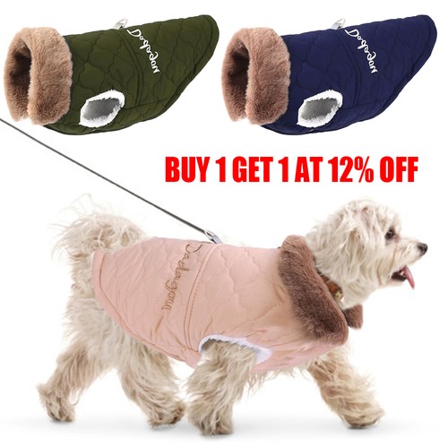 Pet dog warm - warm, coat