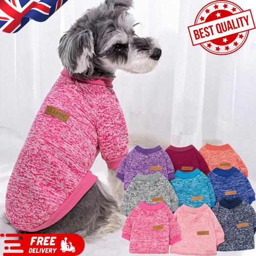Winter dog coat small dogs - winter,