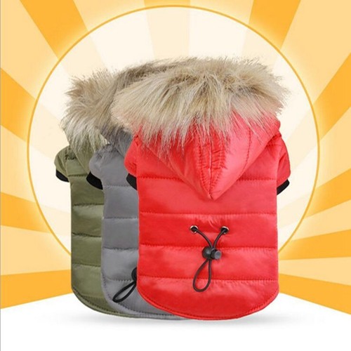 Winter dog coats - winter, pet