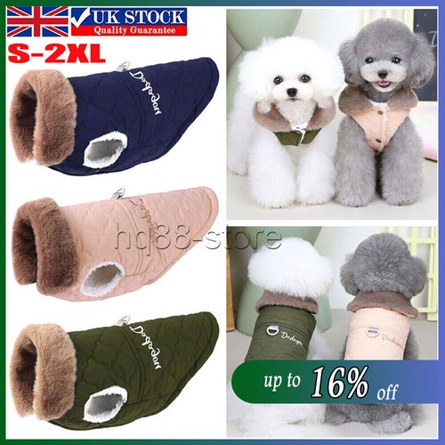 Warm pet dog - warm,