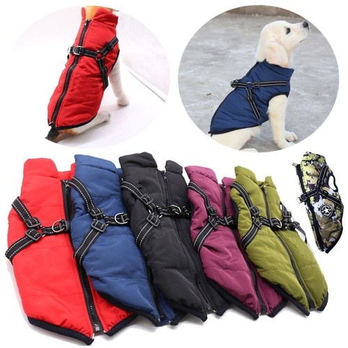 Pet dog vest puppy - puppy,