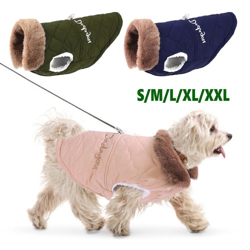 Warm pet dog - dog, jacket