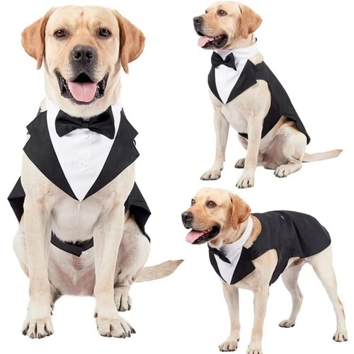 Pet suit tuxedo bow - bow, party
