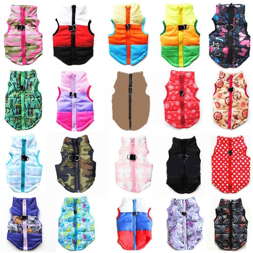 Clothes for pet - pet, sweater