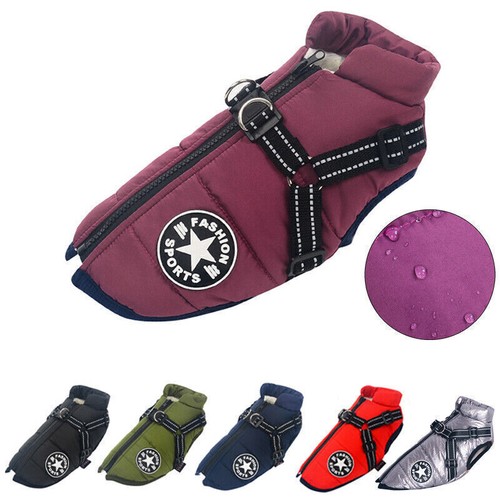 Pet dog vest puppy - puppy,