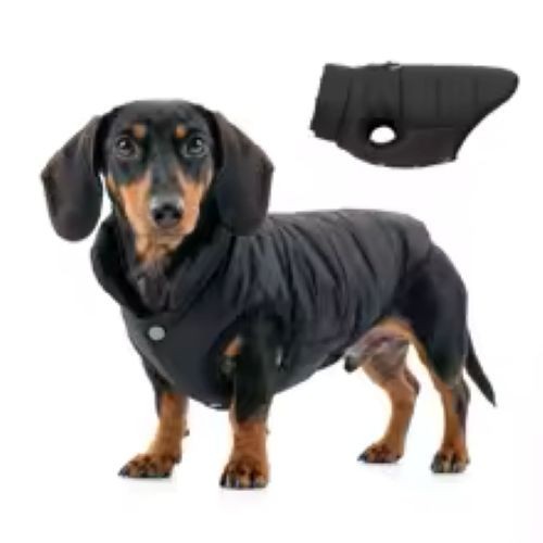 Pet dog jacket warm - dog,