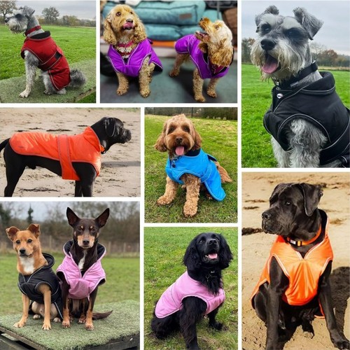 Hugglepets dog coat - hugglepets,