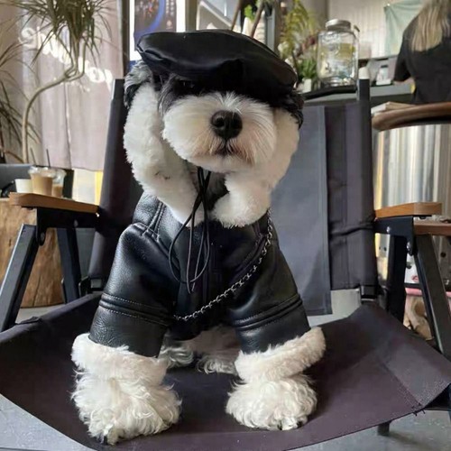 Dog coat winter autumn warm - warm, pu