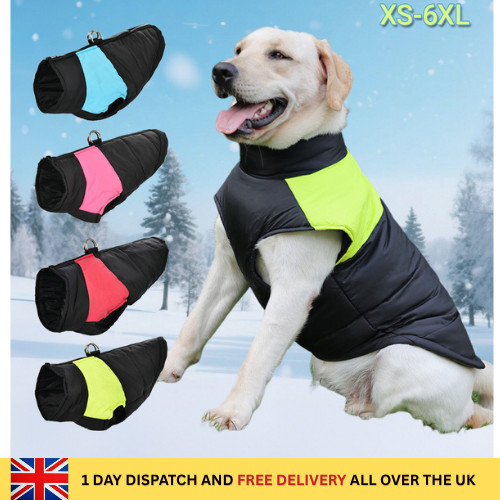 High quality 6xl dog - high,