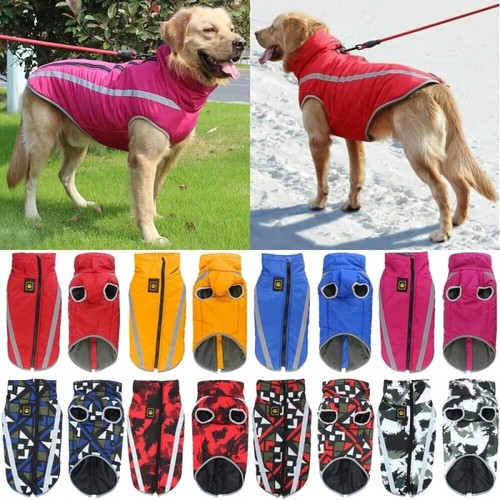 Vest pet warm - vest,