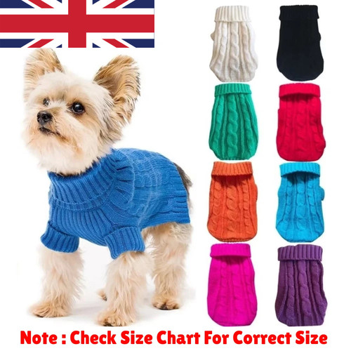 Puppy dog jumper - jumper, winter