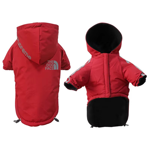 Autumn winter warm - winter,