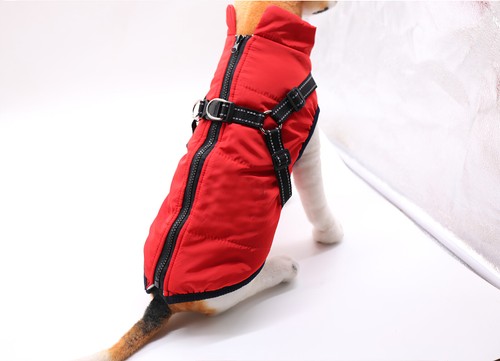 Pet dog vest puppy - dog,