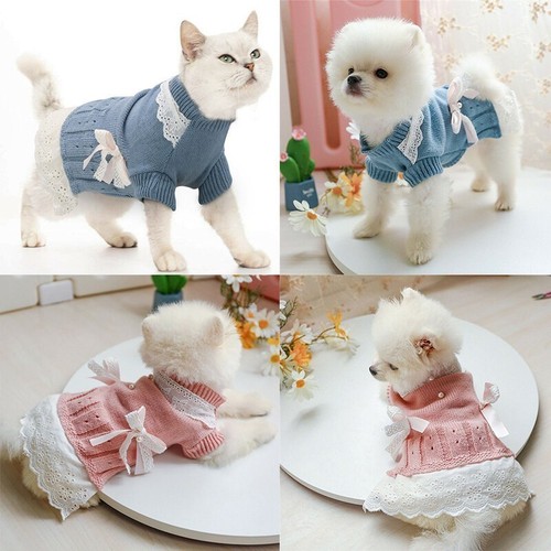 Pet cat puppy - coat, classic