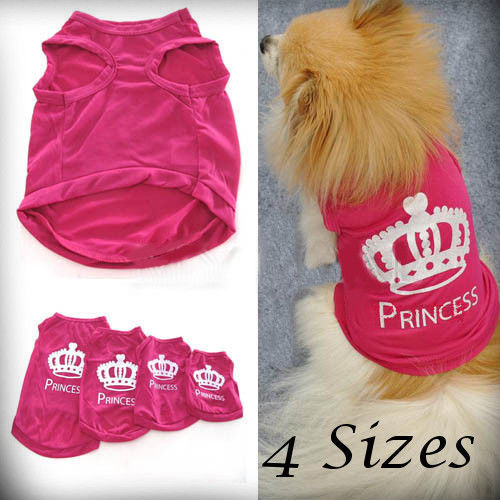 Pet dog cat cute - dog, princess