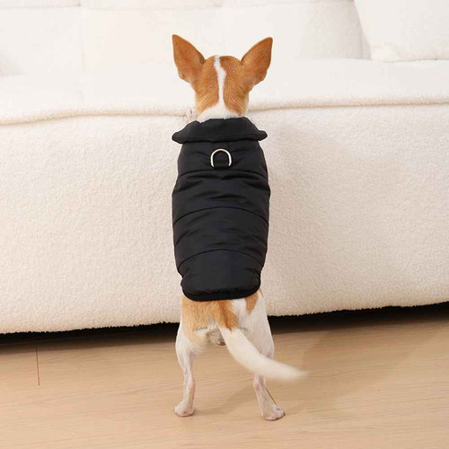 Winter pet coat - winter,