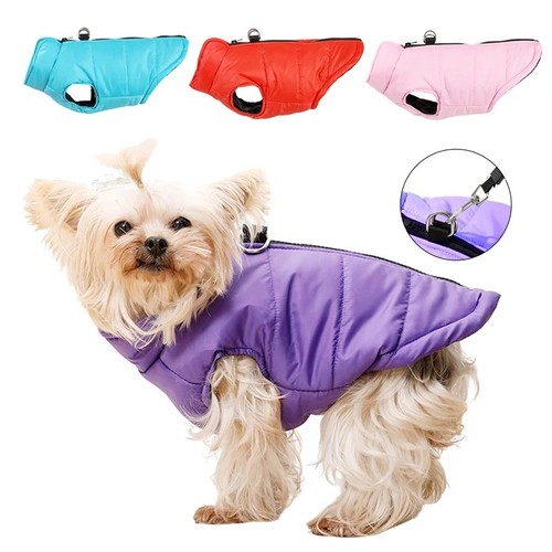 Winter warm dog - dog, coat