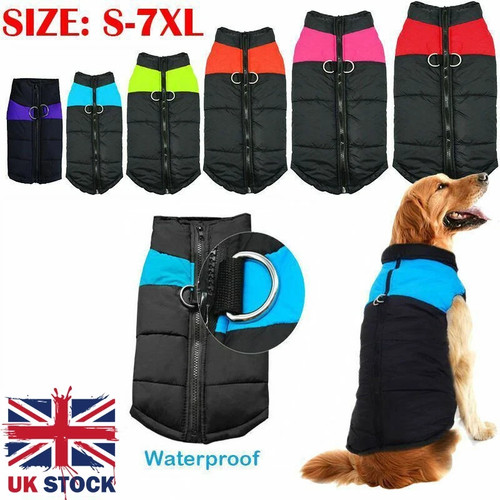 Pet vest jacket - jacket, puppy