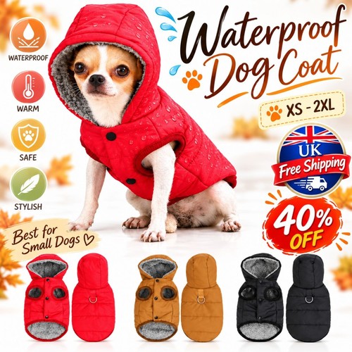 Dog hoodie coat - dog,