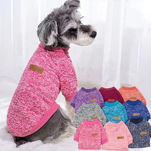 Winter warm cat - winter, clothes