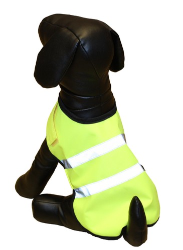 Pet gear high - gear,