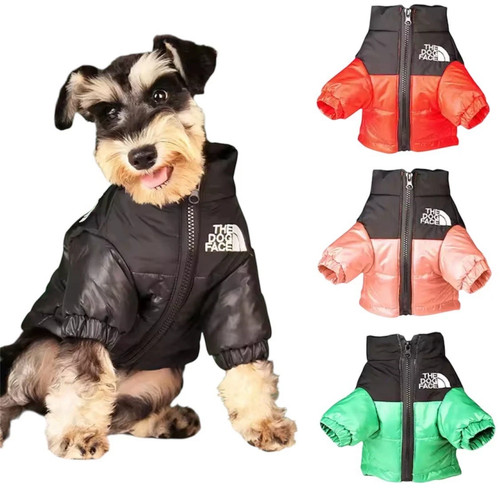 The dog face - face, puffer