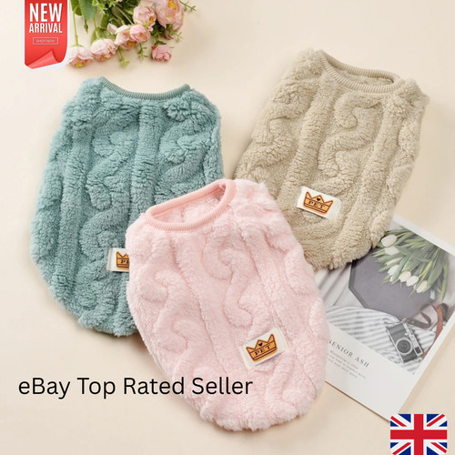 Pet dog cat - dog, sweater