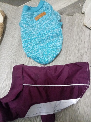 Tiny dog coat - dog, sz