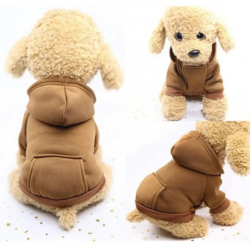 Winter dog hoodie jacket - dog,