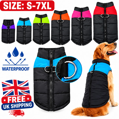 Pet vest jacket - pet, warm
