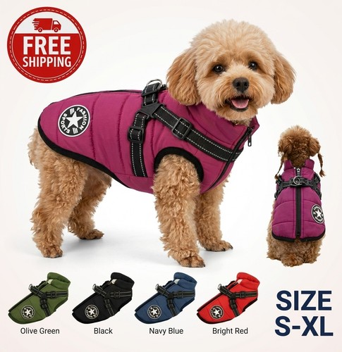 Dog coat waterproof - dog,