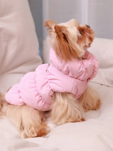 Layer dog winter - 3-layer, warm