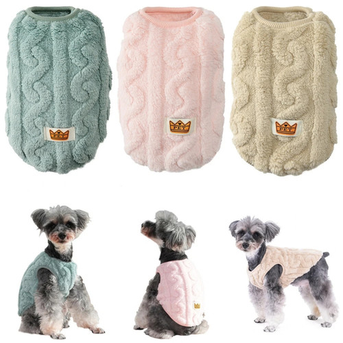 Pet dog cat - dog,
