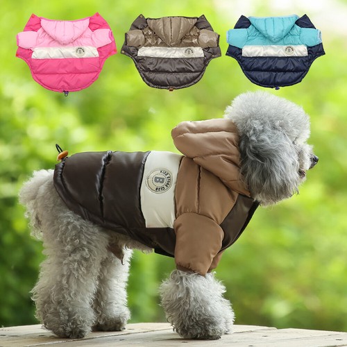 Small dog coats for winter - dog,