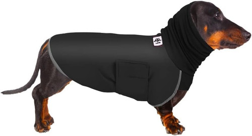 Dachshund coats dog winter - dachshund,