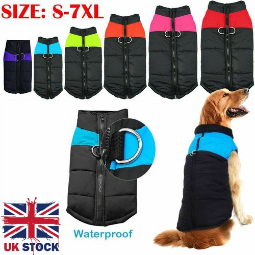 Pet vest jacket - jacket, dog