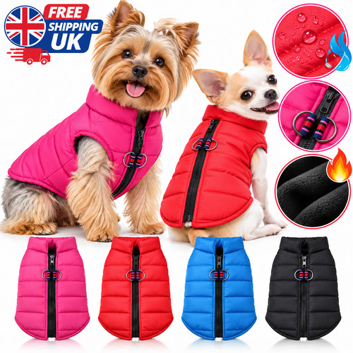 Warm dog coat - coat, padded